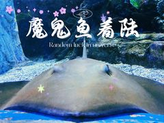 -太平洋海底世界