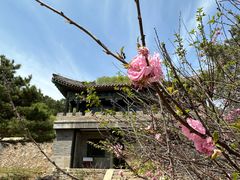-承德避暑山庄景区