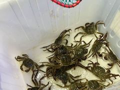 -祥鹤龙虾螃蟹