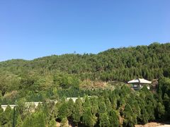 -黄帝陵