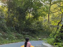 -沂蒙山旅游区云蒙景区(蒙山国家森林公园)