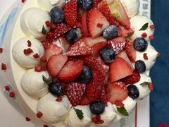-维尔纳斯·生日蛋糕动物奶油冰淇淋蛋糕(人大店)