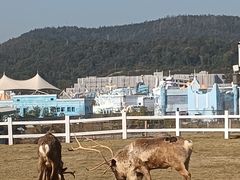 -华谊兄弟（长沙）电影小镇