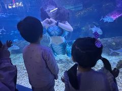 -沙沙哗啦海洋馆(华宇百花谷店)