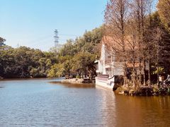 -深圳仙湖植物园