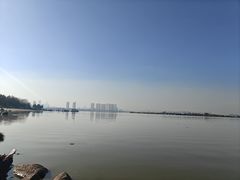 -瑶湖郊野森林公园