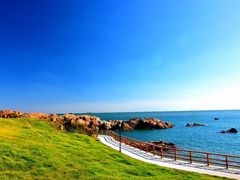 -小麦岛公园