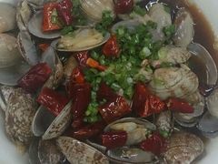 蛤蜊-做了不起的80后