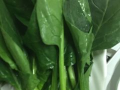 -致和老涮庄山西刀削面(万寿路4号院店)