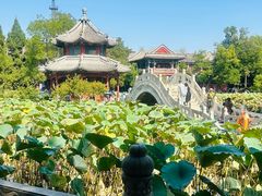 -莲池书院博物馆