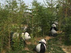 -武清南湖绿博园