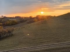 -塞罕坝国家级自然保护区