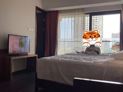 -三亚湾红树林度假世界(木棉酒店)