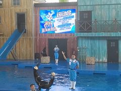 -三亚海昌梦幻海洋不夜城