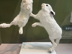 -国家自然博物馆