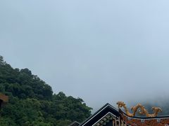 -鼎湖山风景区