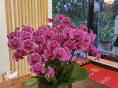 -山菌美食苑(振兴路店)