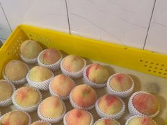 -老袁家蜜桃农场·阳山水蜜桃