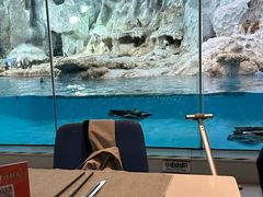 -帝企鹅自助餐厅•儿童岛•真企鹅(长隆企鹅酒店)