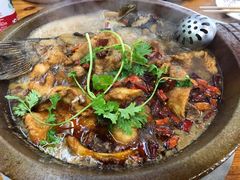 -巴乡石锅鱼(密云店)