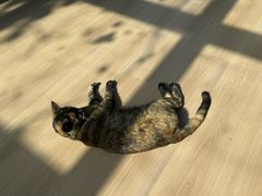 -EATALIA意塔利意式餐厅(鼓楼店)