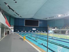 -重庆市奥林匹克体育中心-游泳跳水馆