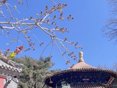 -潭柘寺景区