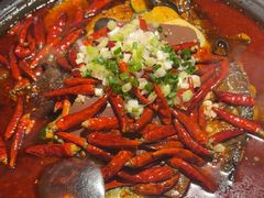 -探鱼·鲜青椒爽麻烤鱼(广州欣荣广场店)