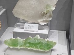 -湖南省地质博物馆