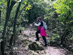 -午潮山国家森林公园