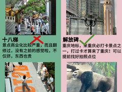 -重庆十八梯传统风貌区