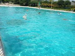-海豚湾梦幻水上乐园