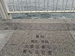 -大梅沙海滨公园