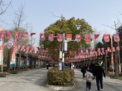 -合肥野生动物园