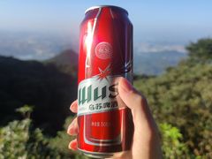 -梧桐山风景名胜区