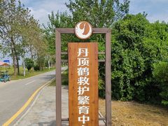 -盐城丹顶鹤湿地生态旅游区