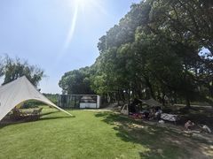 -同里国家湿地公园