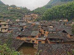 -杨家堂村