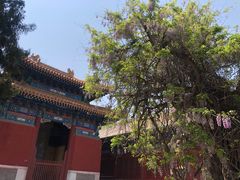 -北京国子监胡同