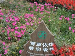 -镜泊湖风景区
