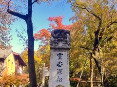 -灵谷景区