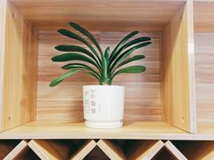 -福寿堂·推拿按摩养生(现代城店)