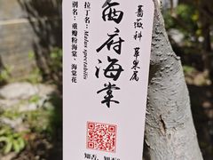 -丰台花园