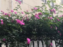 -上海财经大学-新食堂