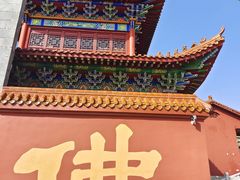 -长沙黑麋峰国家森林公园