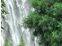 -雁荡山风景名胜区