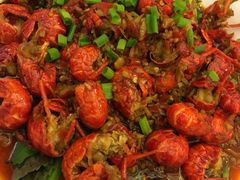 -老梅园大虾城(八一桥店)