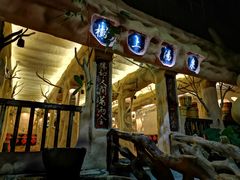 -天门沟九州驿站树上汤泉