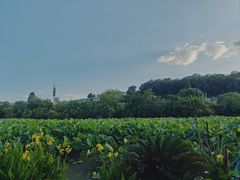-贵阳市花溪国家城市湿地公园