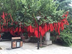 乐游原-西安乐游原